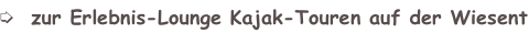shapeimage_3_link_0